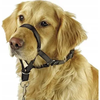 Postroj pro psa Výcvikový postroj pro psa Maxi Coach, < 38 cm, Kerbl
