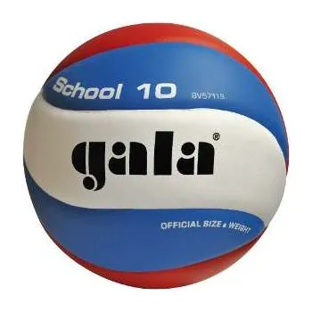 Volejbal Volejbalový míč SCHOOL 10