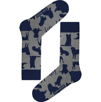 Pánské ponožky Pánské ponožky John Frank JFLSEF09 Barva: Šedá, Velikost: UNI