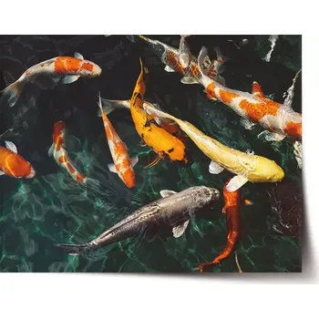 Plakát Sablio Plakát Ryby - 60x40 cm