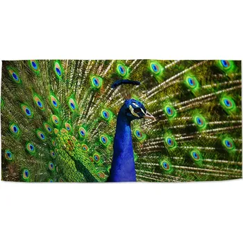 Ručník Sablio Ručník Páv - 70x140 cm