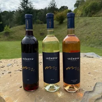 Vinařství Ježková - Děvín, Váh, Rulandské šedé Děvín 2024