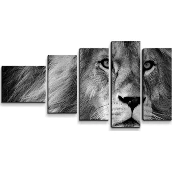 Obraz Sablio Obraz - 5-dílný Lev 2 - 100x60 cm