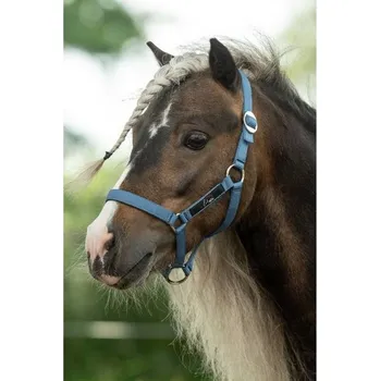 Ohlávka HKM pro minishetty smokey blue