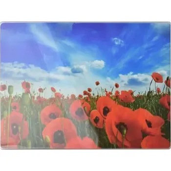 Obraz Aria Skleněná deska 30x40 cm