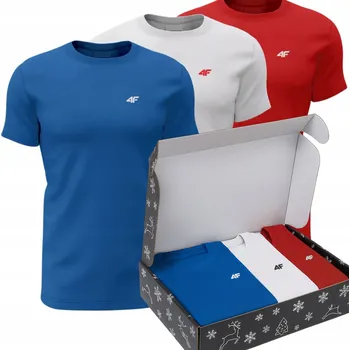 Pánské tričko s kulatý výstřihem 4F, velikost M