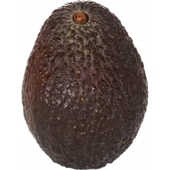 barva na zeď Avokádo Hass 1 kg Peru