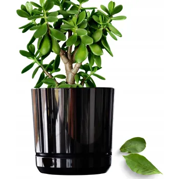 Obraz Květináč plast černý Kerd 15,2 cm x 16 x 15,2 cm