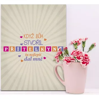 Plechová cedule Sablio Dárková cedulka Když Bůh stvořil přítelkyně: 30x40 cm