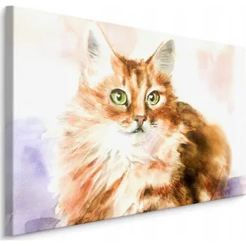 Obraz Nástěnný obraz KOŤÁTKO Zvíře Malba Dekorace 70x50