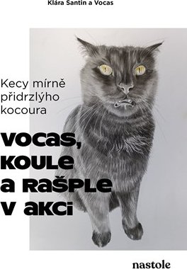 Kecy mírně přidrzlýho kocoura | Klára Santin