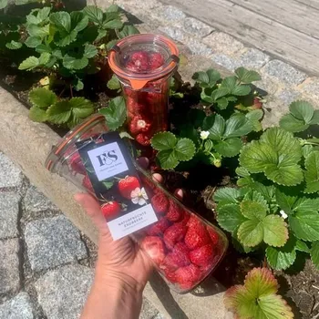 Sušené ovoce Sušené jahody ve skle, 40 g