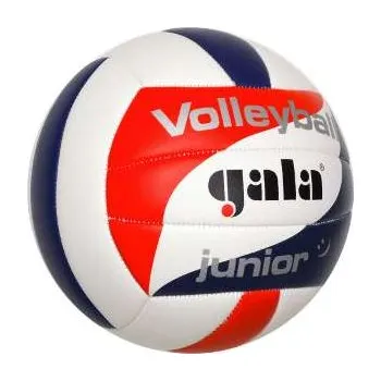 Volejbalový míč Volejbalový míč JUNIOR