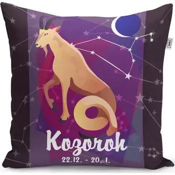 Polštář Sablio Polštář Kozoroh: 40x40 cm