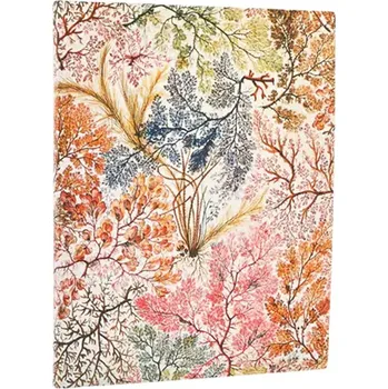 Diář Diář 2026 Anemone Flexo