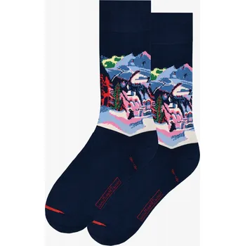 Dámské ponožky ART SOX Musearta Ernst Ludwig Davon ve sněhu 36-40