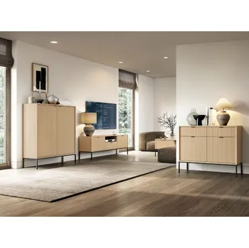 Obývací stěna ArtPS Obývací stěna MONA | dub vicenza