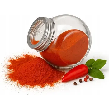 Dóza na potraviny Nádoba na koření Ravi 210 ml skleněná