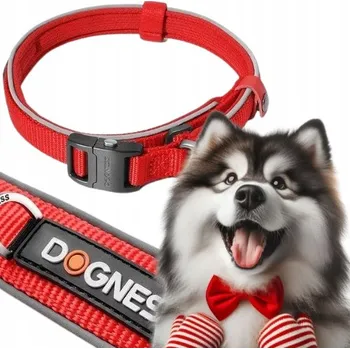 Obojek pro psa Obojek pro psa látkový reflexní Dogness vel. L