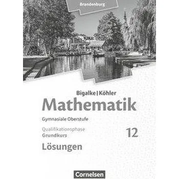 Učebnice Bigalke/Köhler: Mathematik - 12. Schuljahr - Grundkurs - Brandenburg - Lösungen zum Schülerbuch - Kuschnerow, Horst