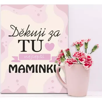Plechová cedule Sablio Dárková cedulka Děkuju za tu nejlepší maminku: 30x40 cm