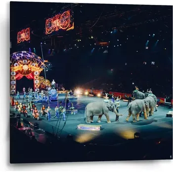 Obraz Sablio Obraz Cirkus - 50x50 cm
