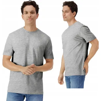 Pánské tričko Pánské tričko tričko Light BAVLNA GILDAN GREY Sport M