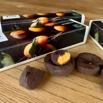 Sušené ovoce Sušené meruňky v čokoládě