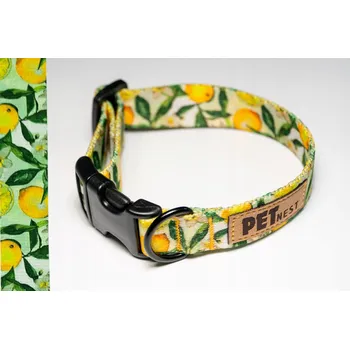 Obojek pro psa Nastavitelný obojek pro středního psa nebo kočku M 25 - 40 cm Fresh Lemons Handmade