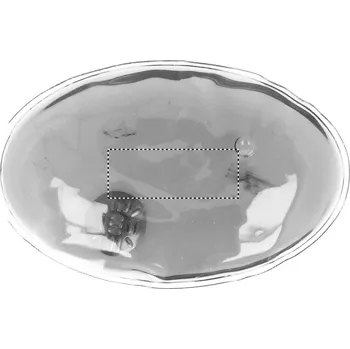 ohřívač rukou Ovální ohřívač rukou Tamponový tisk (max. 1 barva, 15x40mm) 1 barva 60 FRONT