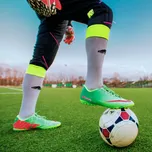 SEED SERVICE TRAVNÍ SMĚS PROFESIONÁL 10 kg Partie: 24-2232-08404-01 /61