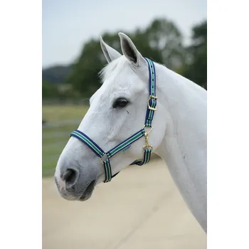 Bucas Ohlávka Dublin Bucas, striped/navy FULL