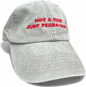 Kšiltovka Dark cap - kšiltovka NOT A CULT JUST PEDRO FANS / Šedá washed