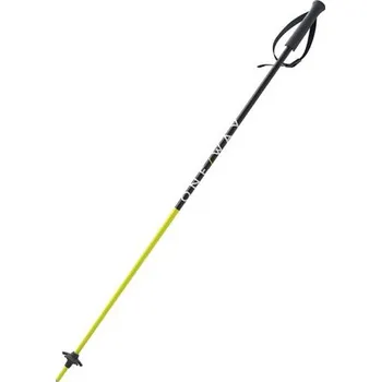 Sjezdová hůlka ONE WAY Oneway JUNIOR 2024/25 Délka (cm): 75 cm