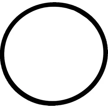 Marimex | Těsnění pro filtrace ProStar Plus 2, 4, 6 a ProStar 2000, 4000 a 6000 | 10604293