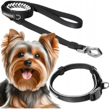 Obojek pro psa Reflexní set: obojek 18 - 29 cm (XS) + vodítko se dvěma úchyty (XS/S) DOGNESS