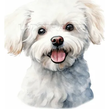 Nažehlovačka Bišonek hlava - 11 x 12 cm