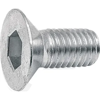 Imbusový zápustný šroub M12 x 25 pro kluzné a podpěrné talíře Deutz-Fahr