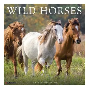 Kalendář Wild Horses 2026 12 X 12 Wall Calendar (Kalendář)