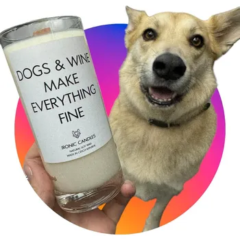 Svíčka IRONIC CANDLES - sójová svíčka DOGS and WINE MAKE EVERYTHING FINE Velikost svíčky / Size: Střední / Medium, Barva a vůně / Color and scent: Neon žlutá - LITSEA CUBEBA (citrusová)