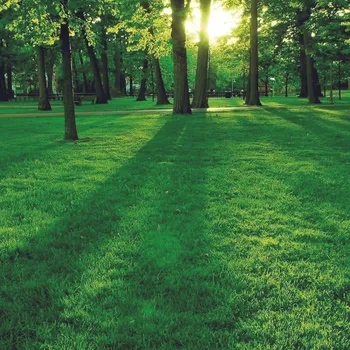 Travní směs SEED SERVICE TRAVNÍ SMĚS ZELEŇ 25 kg Partie: 24-2232-08426-01 /61