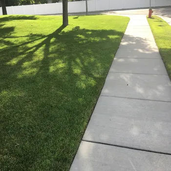 Travní směs SEED SERVICE TRAVNÍ SMĚS STÍN 10 kg Partie: 24-2232-08415-01 /63