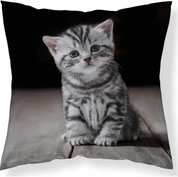 Polštář Povlak na polštář - Koťátko - 40x40