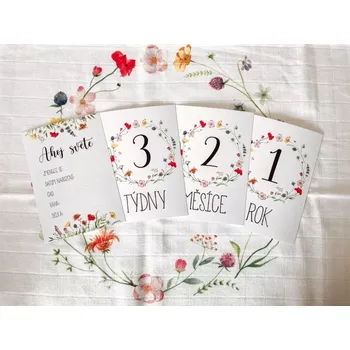 Těhotenské milníkové kartičky - Meadow (35 ks)