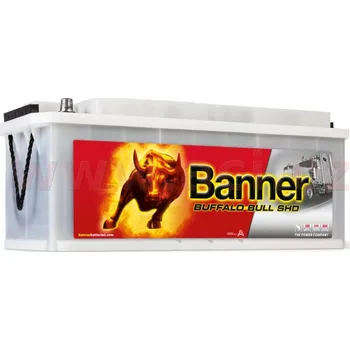 Autobaterie 170Ah baterie, 1000A, levá BANNER Buffalo Bull SHD 514x218x210