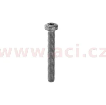 Autodíl šroub s válcovou hlavou a vnitřním torxem M6x45 ORIGINÁL
