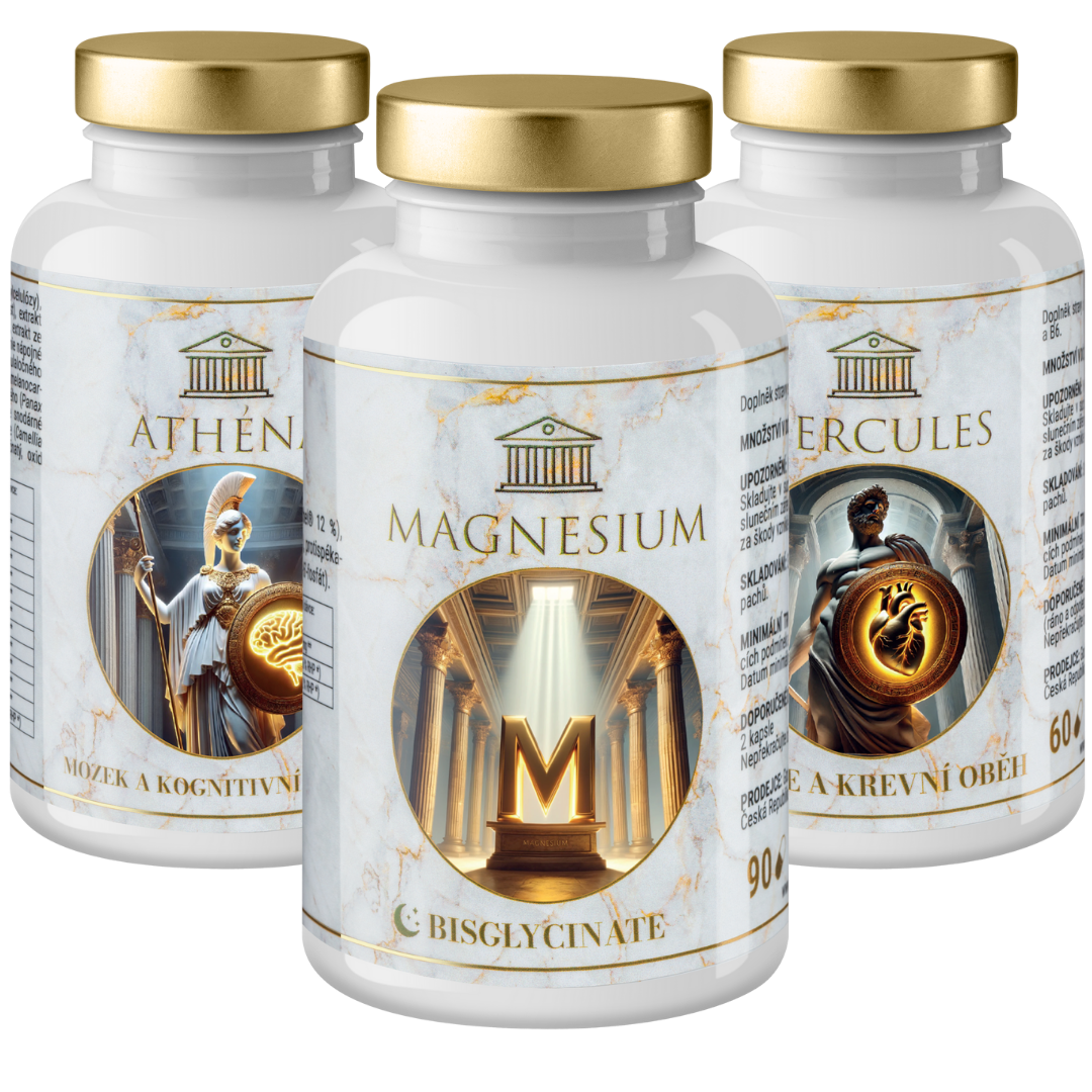 Recovery Boost - Komplexní podpora regenerace