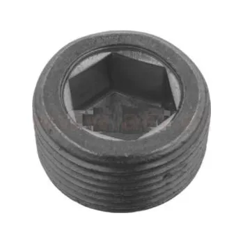 výpustný šroub olejové vany M22x1,5, délka 13mm