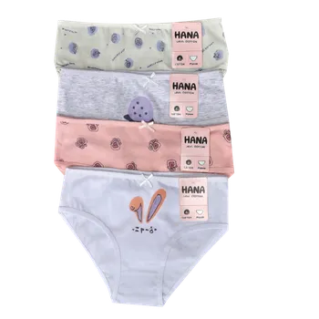 Kalhotky Numberoplus Dětské bavlněné kalhotky Hana - Zajíček HN02 (Balení/4ks) Velikost: 7-9 let (122-134)