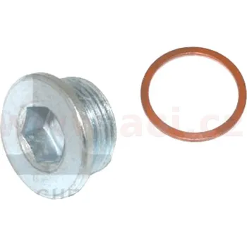 výpustný šroub olejové vany M22x1,5, délka 10mm, vč. těsnění
